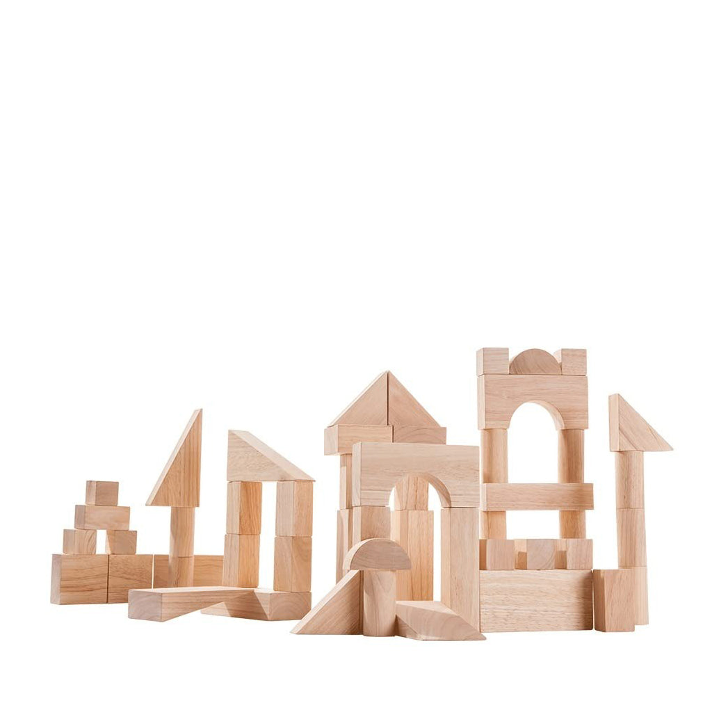Unit Blocks Mini 50 UNIT BLOCKS – THAT'S LIVING KIDS